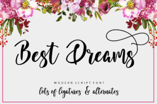 Best Dreams Script Amp: A Versatile Design Asset for Modern Branding