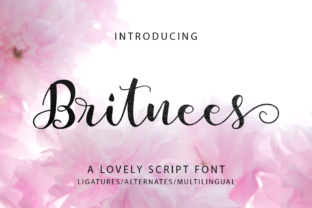 Britnees Script Review: A Versatile Script Amp for Handmade Creations