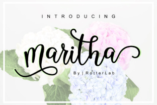 Maritha Script Review: A Beautiful Script Amp for Real Crafting Projects