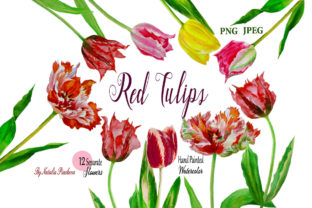 Red Tulips Flowers Watercolor ClipArt: A Versatile Illustration for Handmade Creations