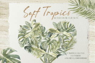 Soft Tropics Watercolor Cliparts and Illustrations