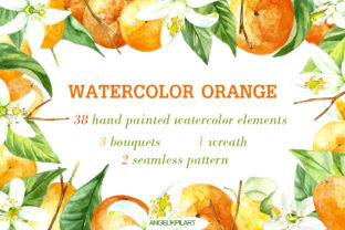 Watercolor Clipart Orange Fruit Set and Illustrations