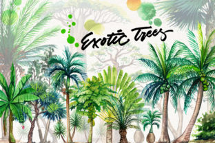 Watercolor Exotic Trees Illustrations