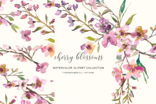 Watercolor Pink Cherry Blossom Illustrations