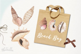 Watercolor Sea Shells Clipart Set: A Delicate Touch for Local Business Branding